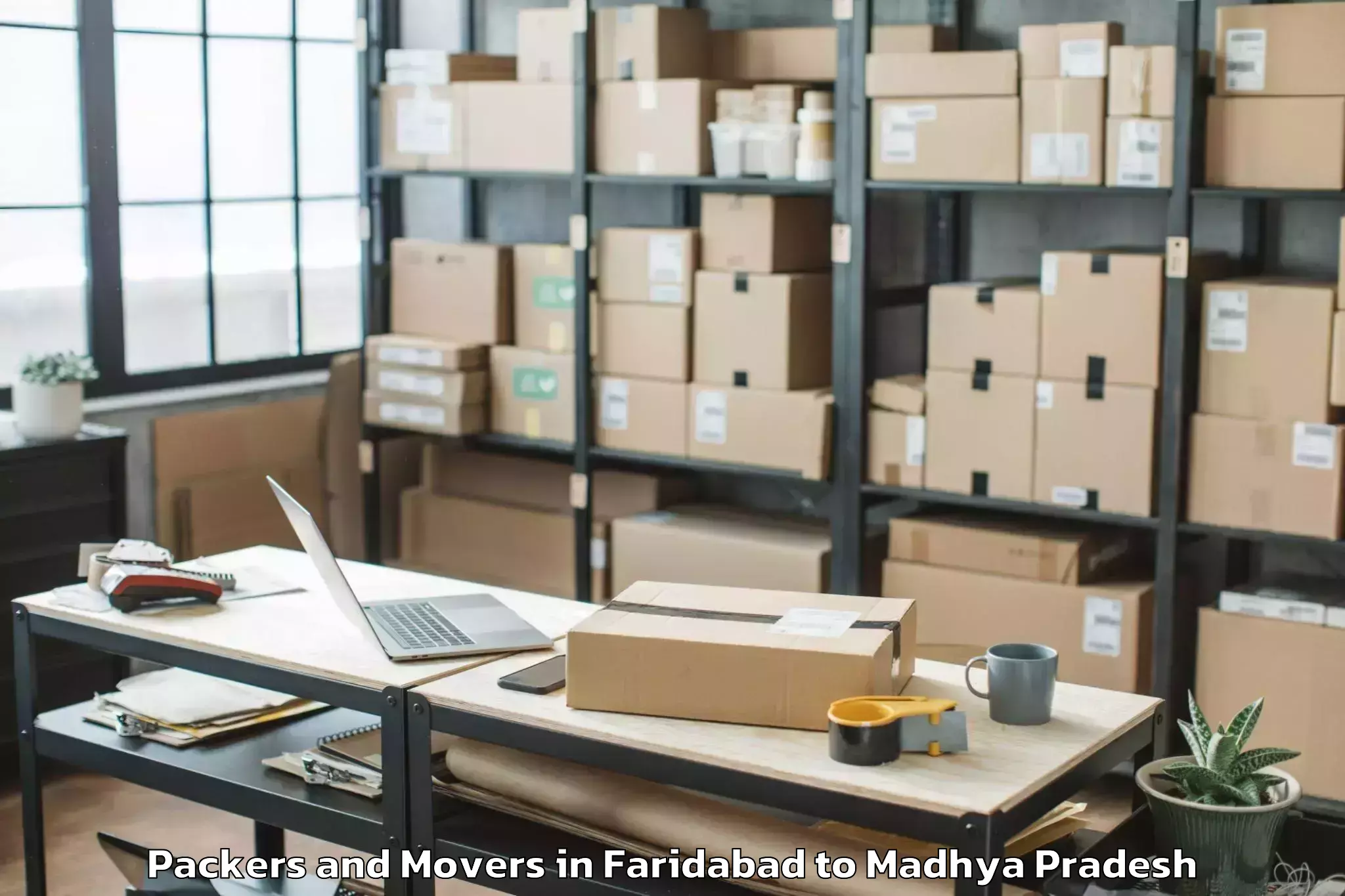 Expert Faridabad to Parasia Packers And Movers